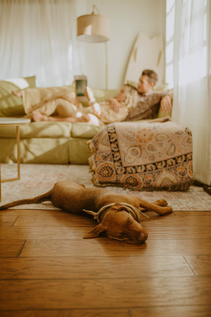 Portrait with focus on the dog asleep on the ground while the couple reads a book with each other on couch