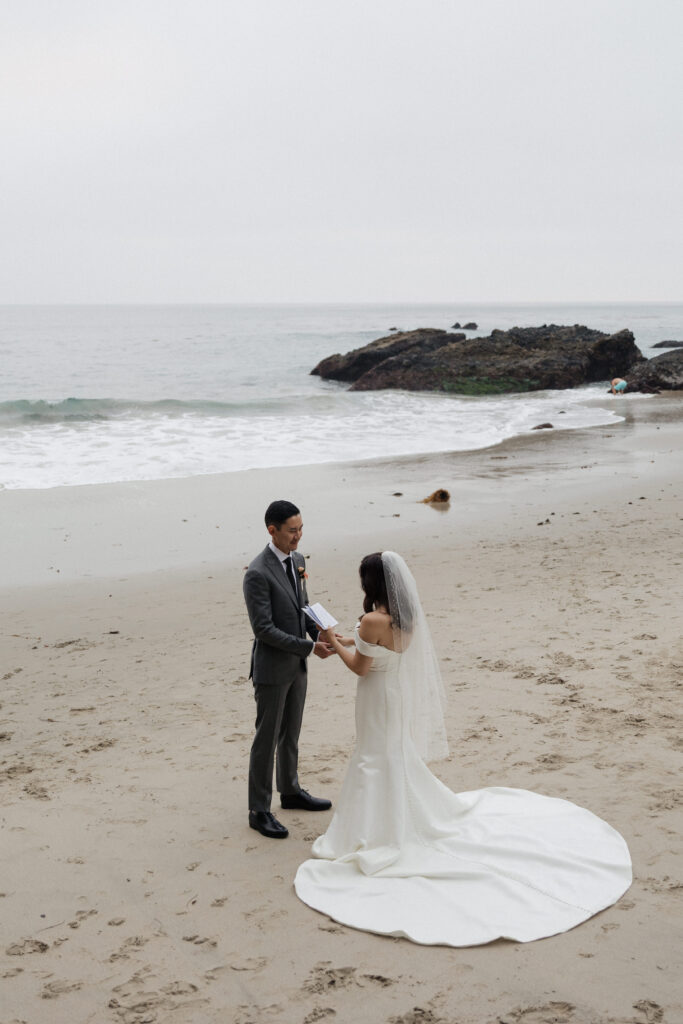 Bride and groom portraits